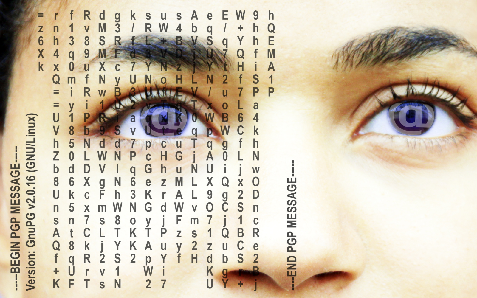 You can see the section of a human face, the focus is on the eyes and the nose, which are partly covered with letters.