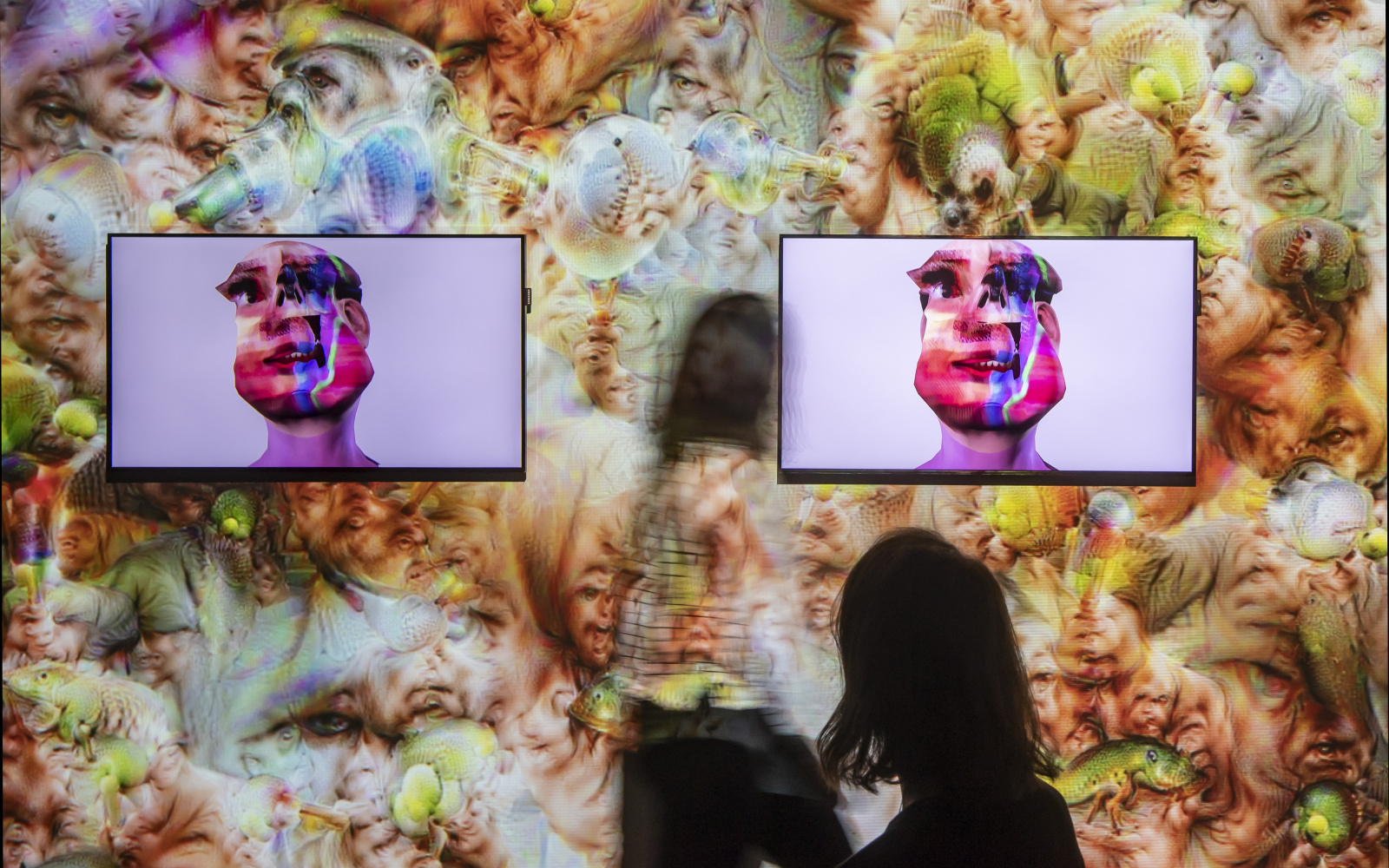 Two screens each show a head that is trimmed, distorted and pink in colour (i.e. alienated). In front of it you can see the diagrams of two people.