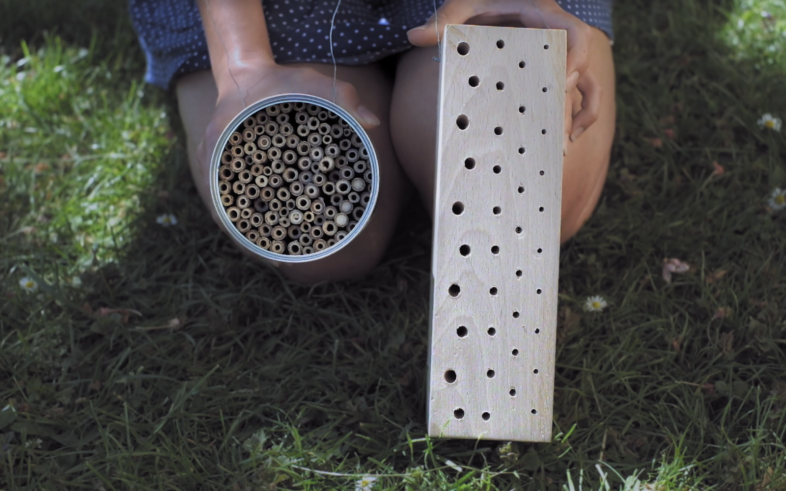 Two differently manufactured nesting aids, one from a block of wood and the other from a tin filled with straws, which are particularly suitable for wild bees, are held in the camera.