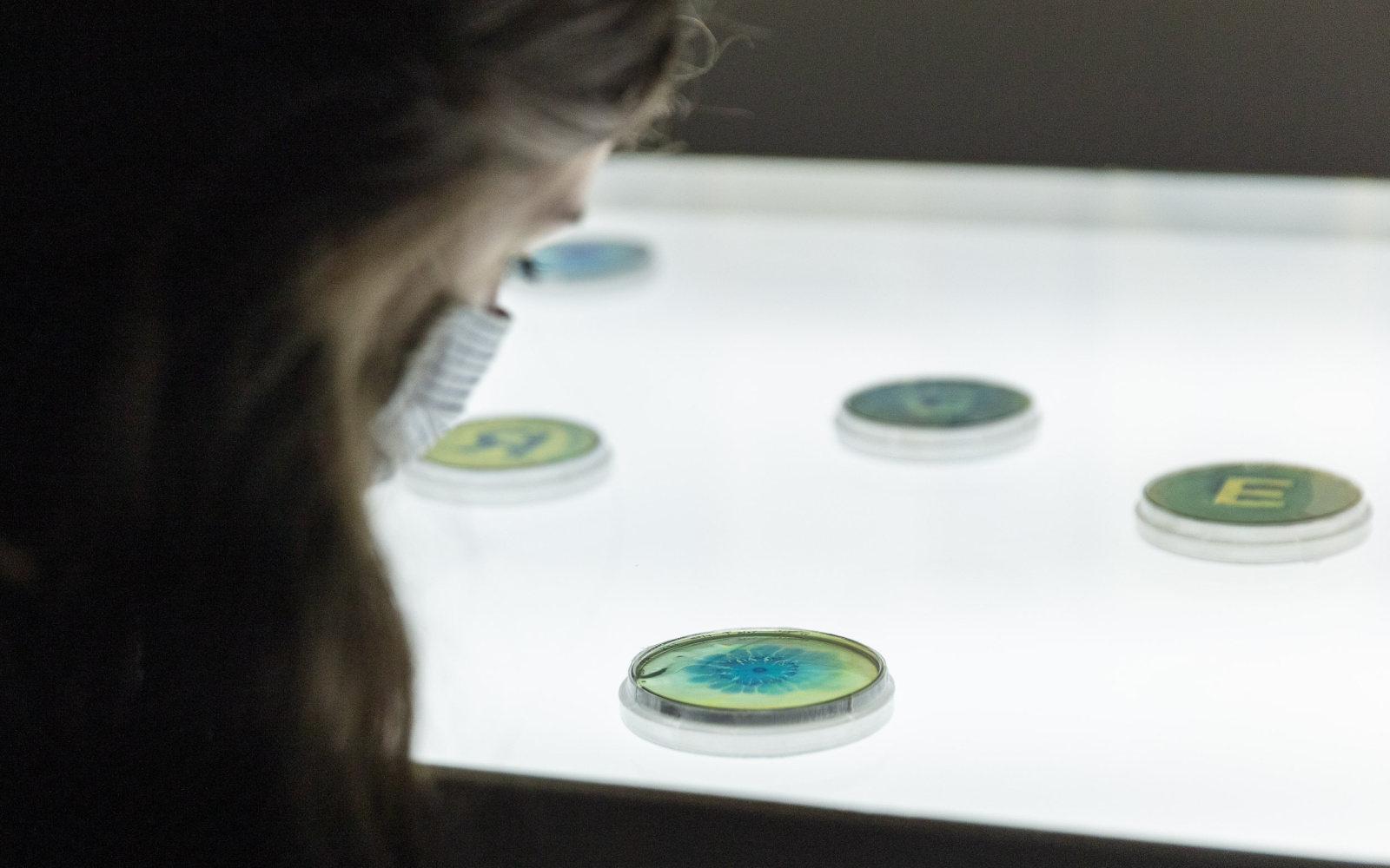 The photo shows a woman in semi-profile with a mask due to COVID-19 measures. She is looking at a colorful petri dish with her head bent towards the display case. 