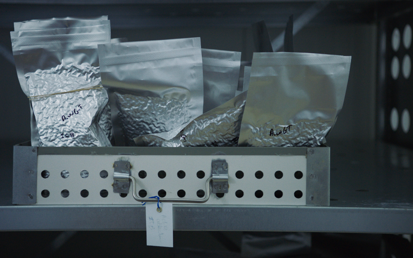 Foto eines Metallregals mit einer Schublade. Die Schublade ist voller silberner Tüten, die mit genetischem Material gefüllt sind.