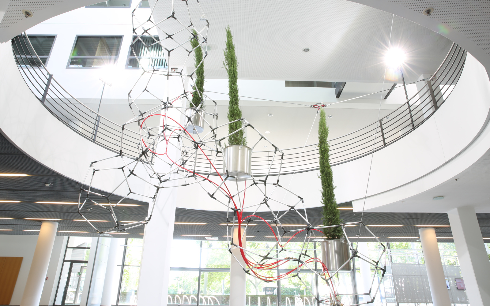 Three cypresses are suspended in polygonal constructions in the air in the foyer of EnBW Karlsruhe.