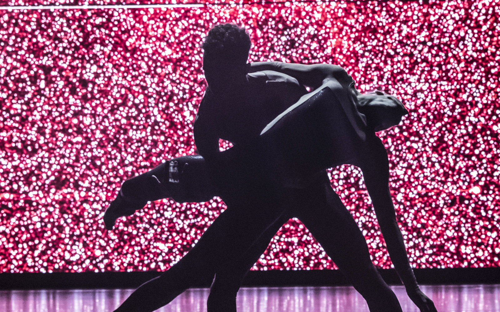 Die Silhouette zweier ineinander verwobener TänzerInnen vor einem pink angeleuchteten HIntergrund