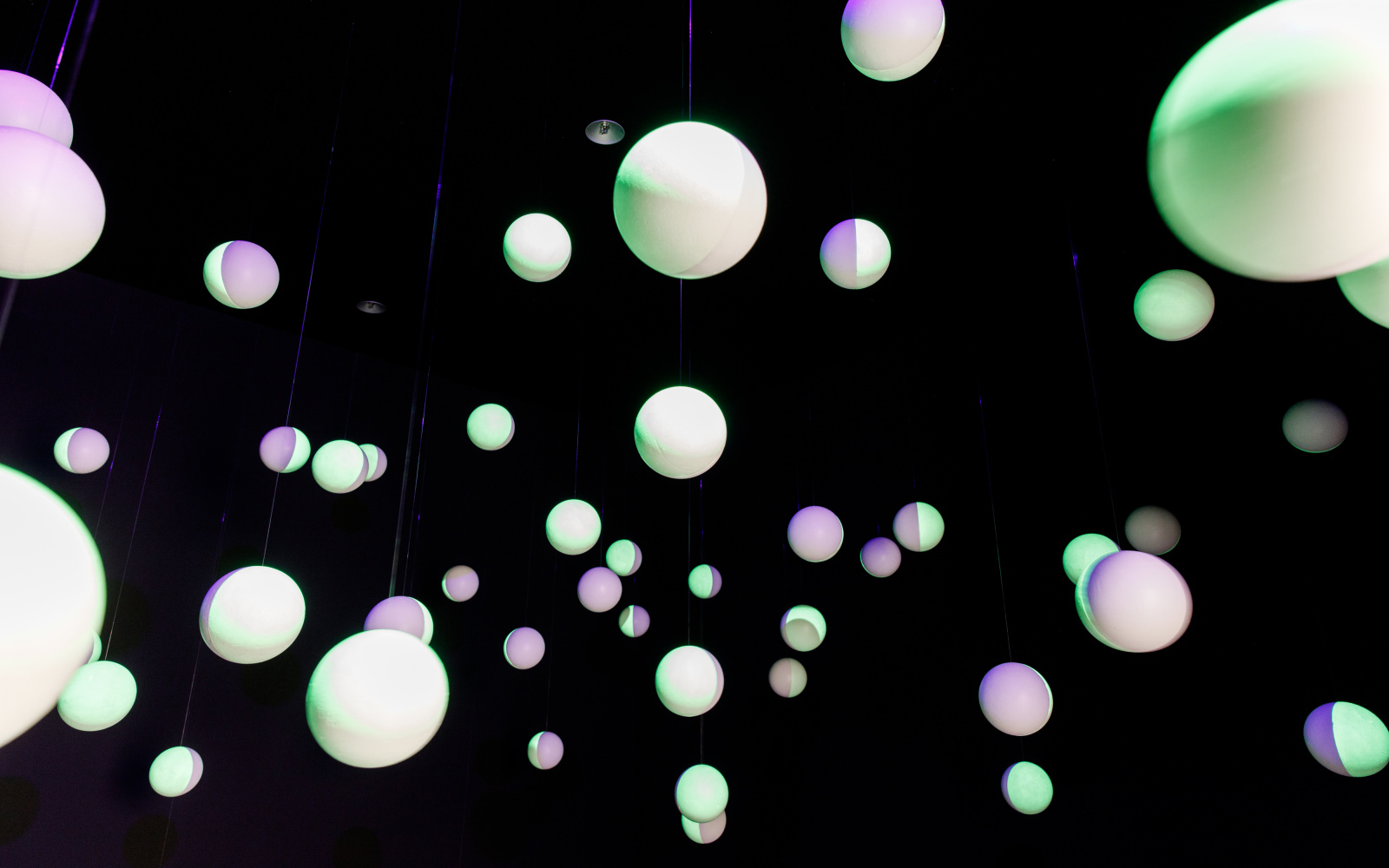 White polystyrene balls hang in a black room, the balls are painted with fluorescent paint and are illuminated.