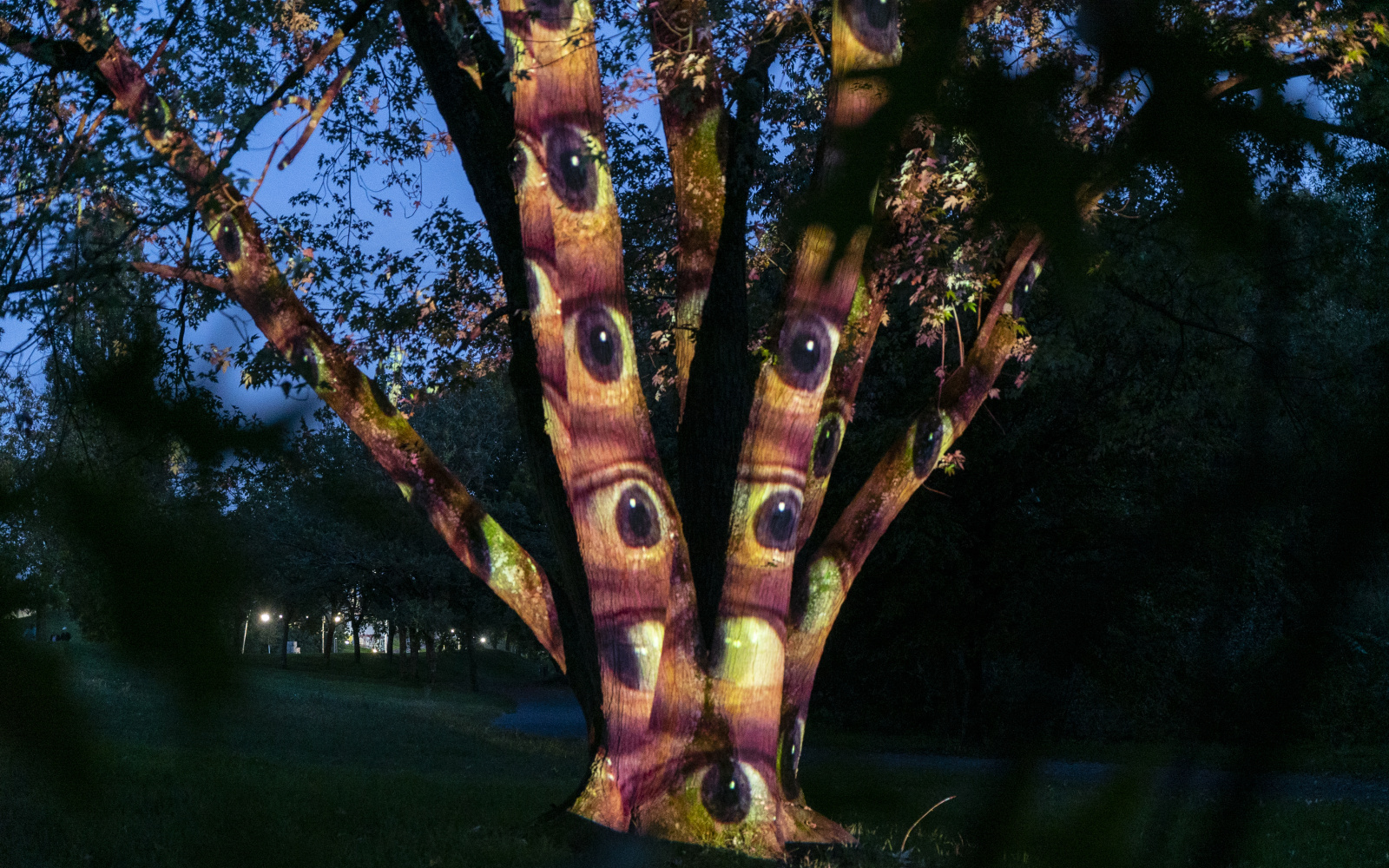 Zu sehen ist ein Baum in der Nacht. Auf den Baumstamm sind Augen projiziert.
