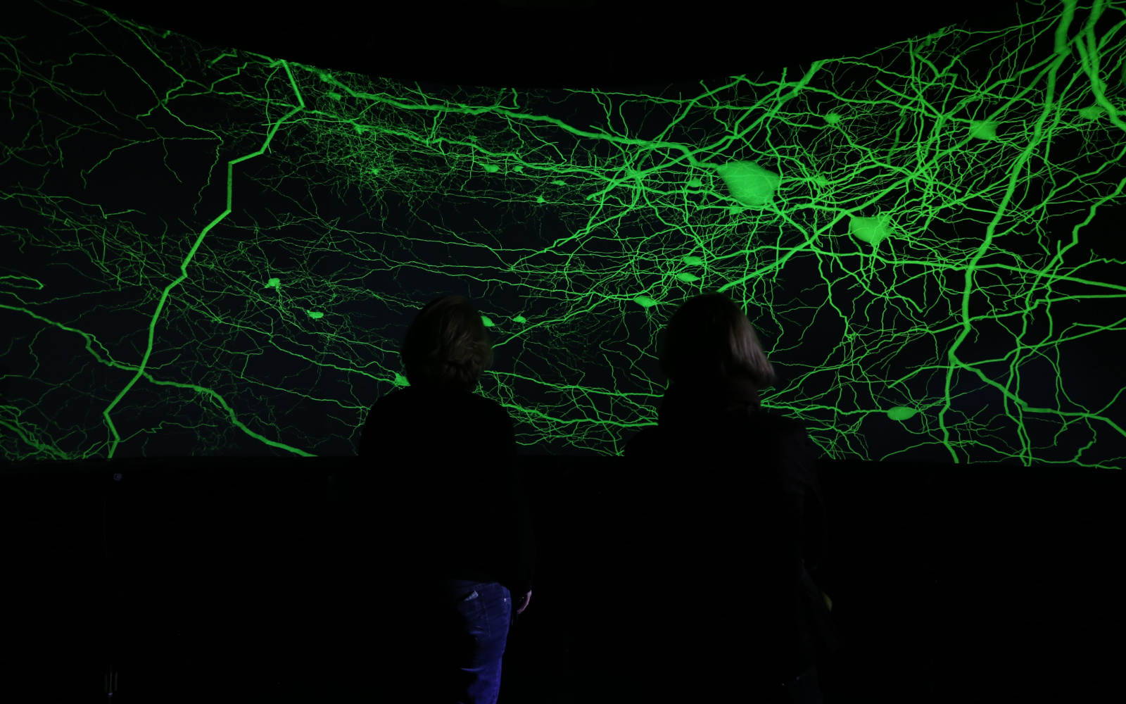 Green visualization of neurons in front of a black background
