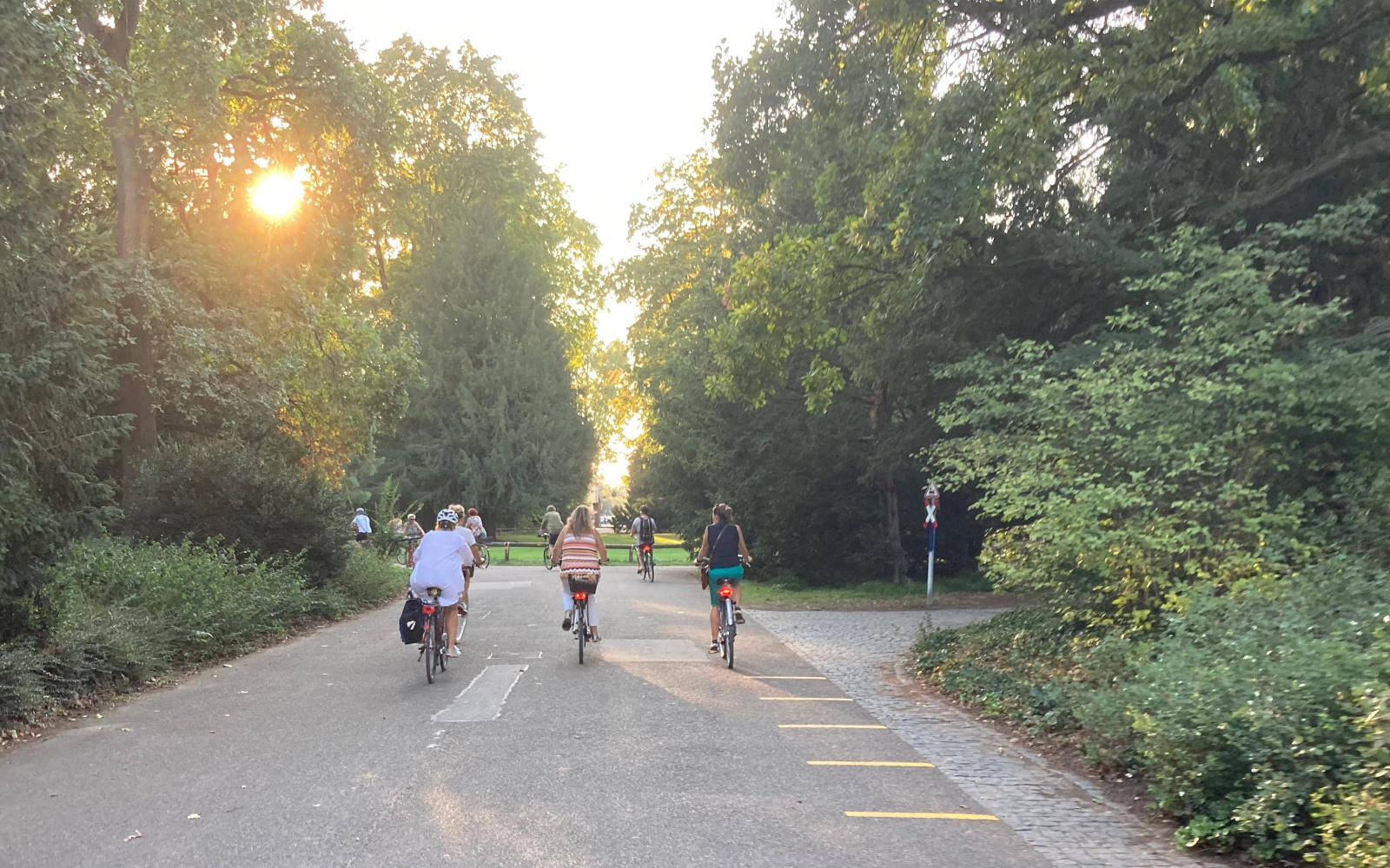 Drei Menschen fahren auf ihren Fahrrädern im Karlsruher Schlossgarten der untergehenden Sonne entgegen.