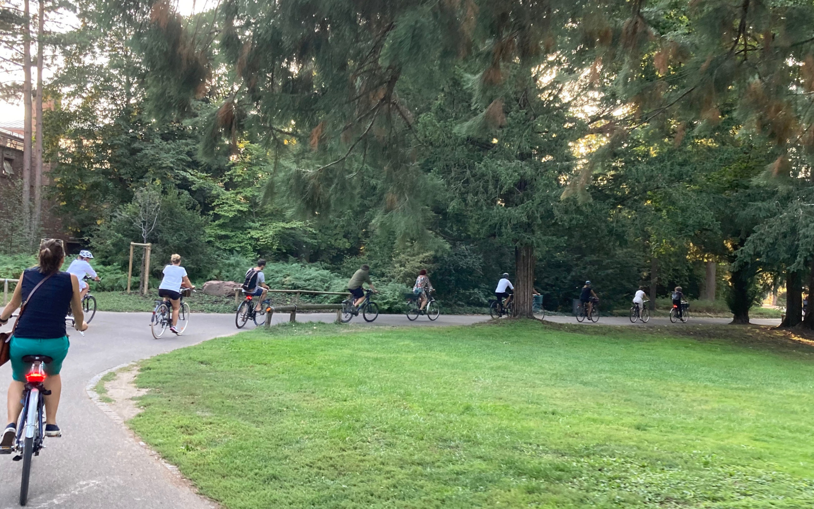 Acht Menschen fahren in einem weiten Bogen hintereinander auf ihren Fahrrädern um einen Rasen im Karlsruher Schlossgarten.