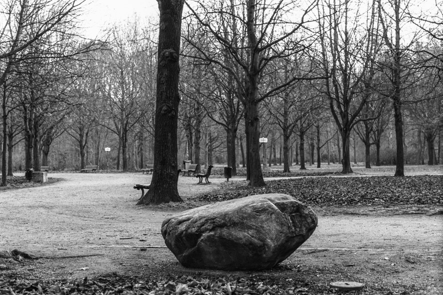 Schwarzweiße Fotografie: Park, mit kahlen Bäumen, im Vordergrund ein Findling