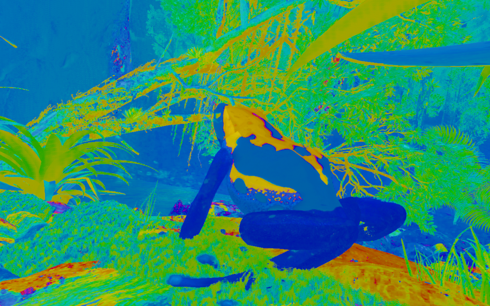 Green, blue and yellow colours show a frog in a natural environment