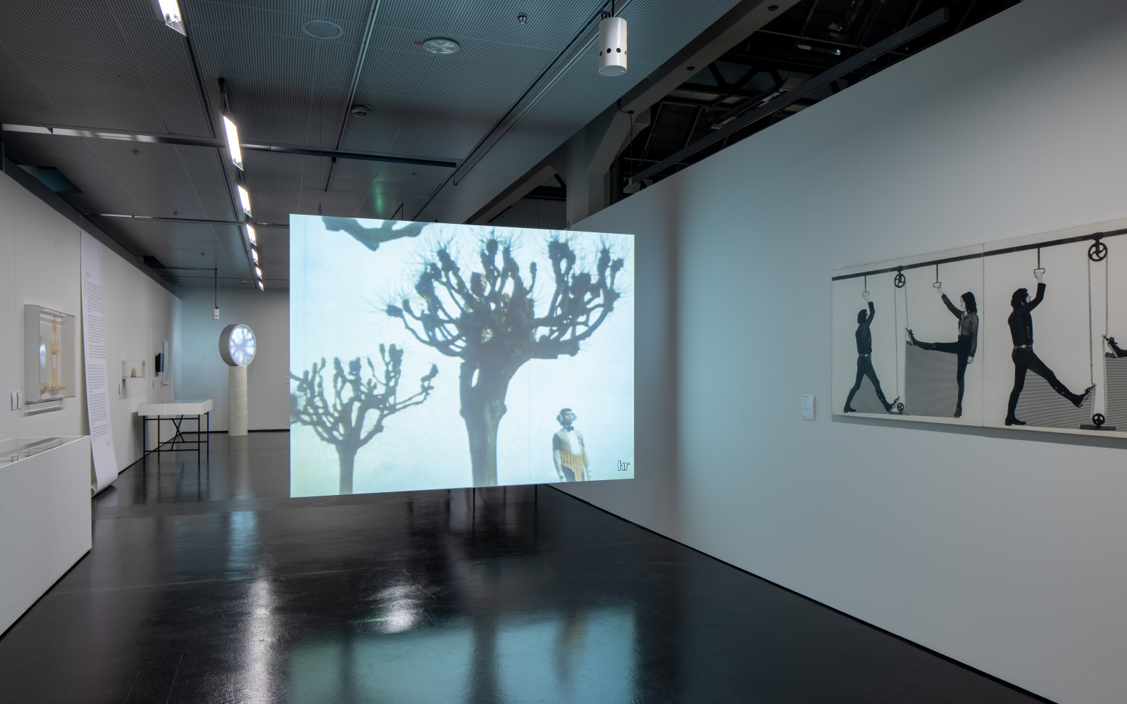 In an exhibition room, a screen can be seen. A tree under which a man is standing is projected onto it.