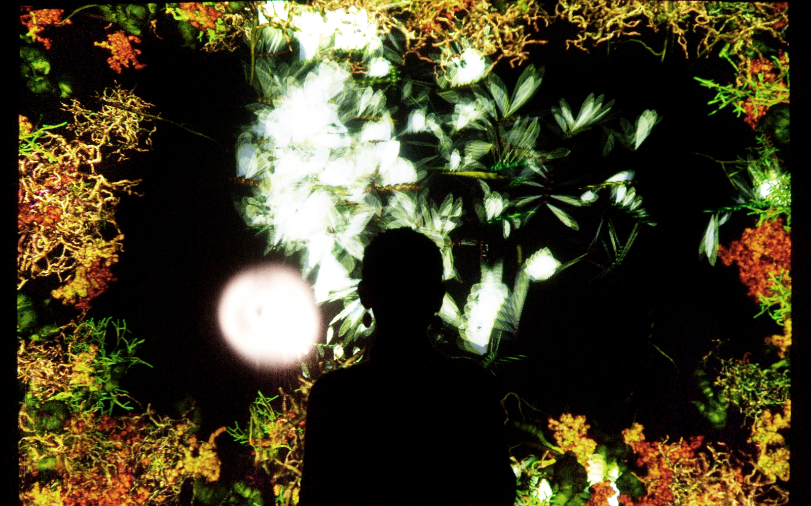 The silhouette of a person in front of a screen of glowing plants