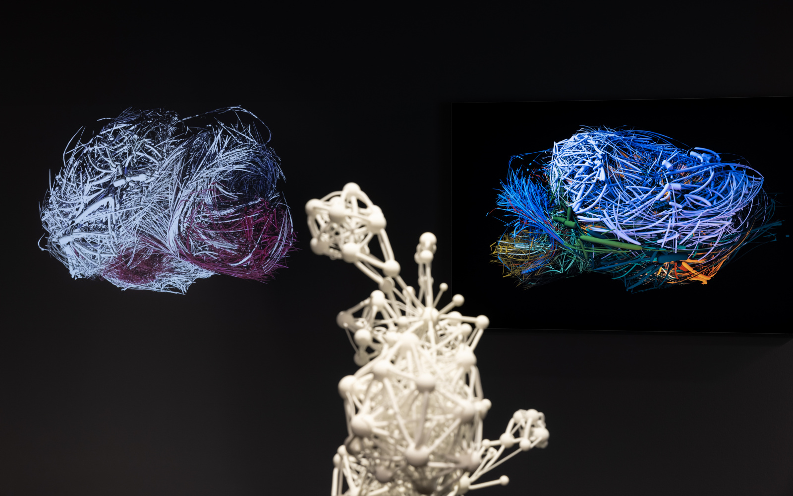 In the foreground is a medium-sized sculpture showing a network with many nodes. To the left and right of the sculpture are networks in the form of a mouse brain.