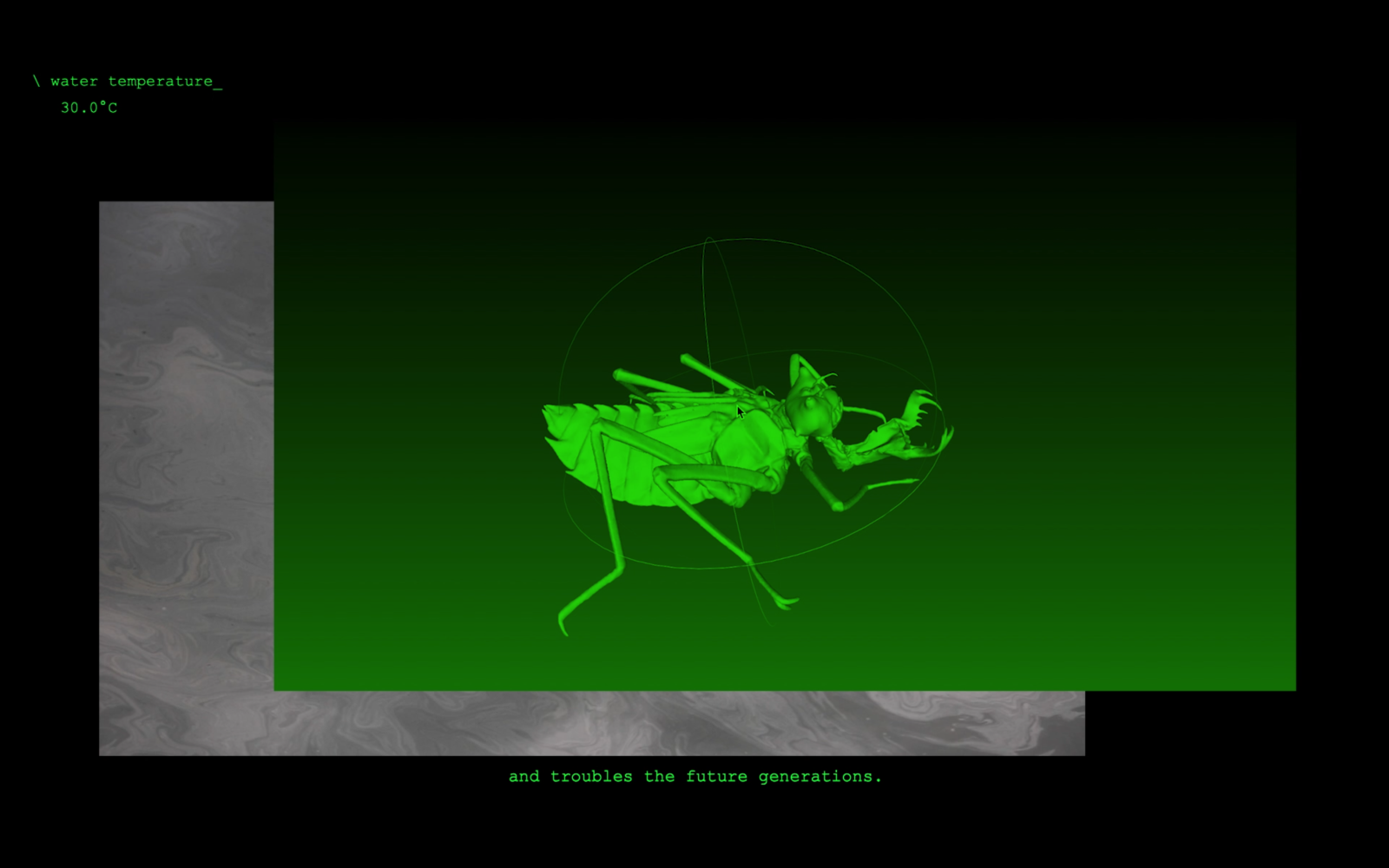 Virtual image of a beetle in green.