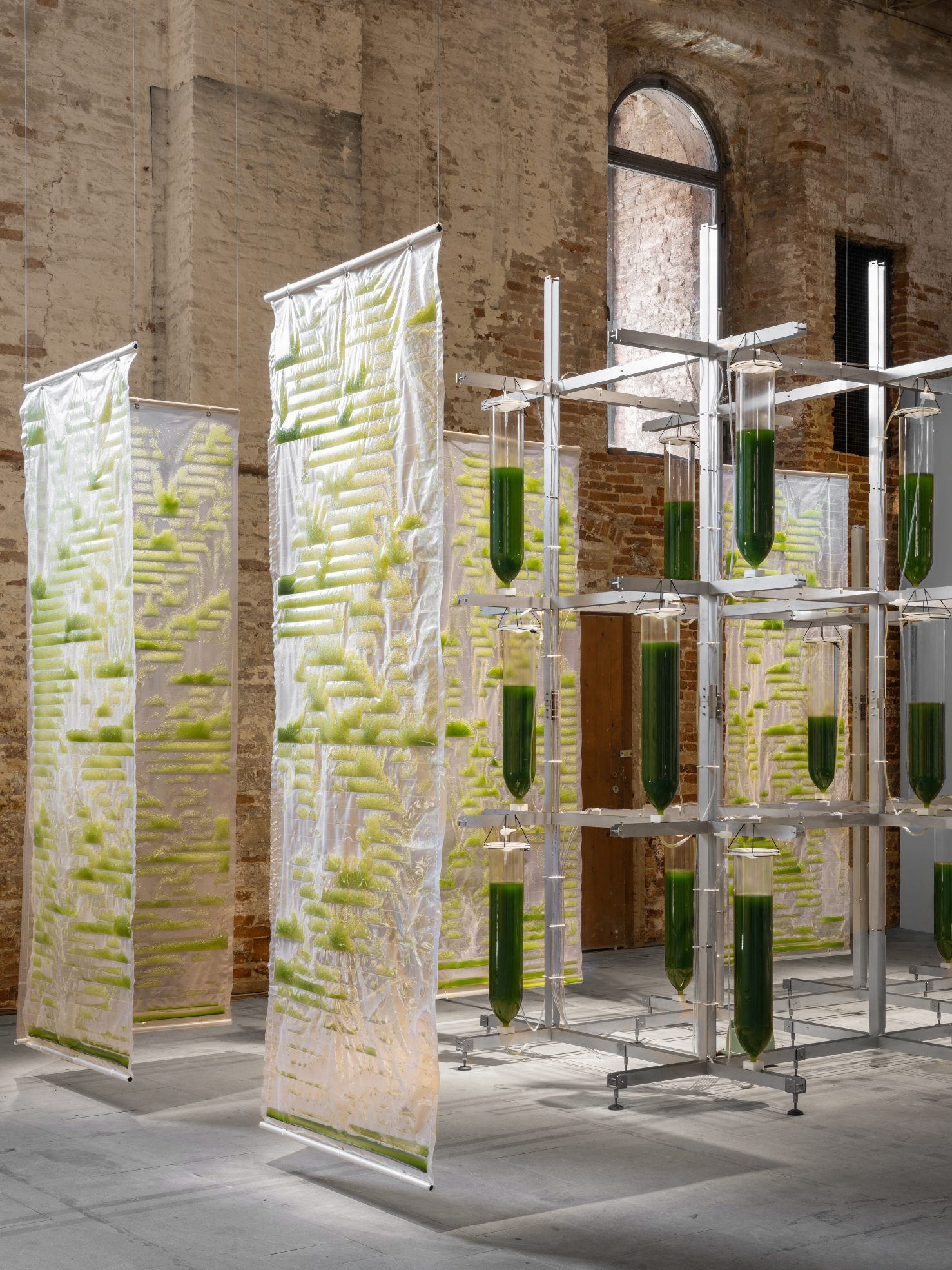 EcoLogicStudio, »Bit.Bio.Bot«, 2021, Stainless steel structure, lab grade borosilicate glass, bioplastic components filled with micro-algae cultures