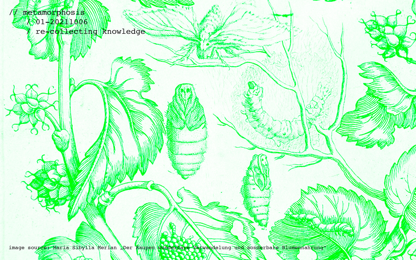 Letterpress illustration of plants and anthropomorphic insects in neon green