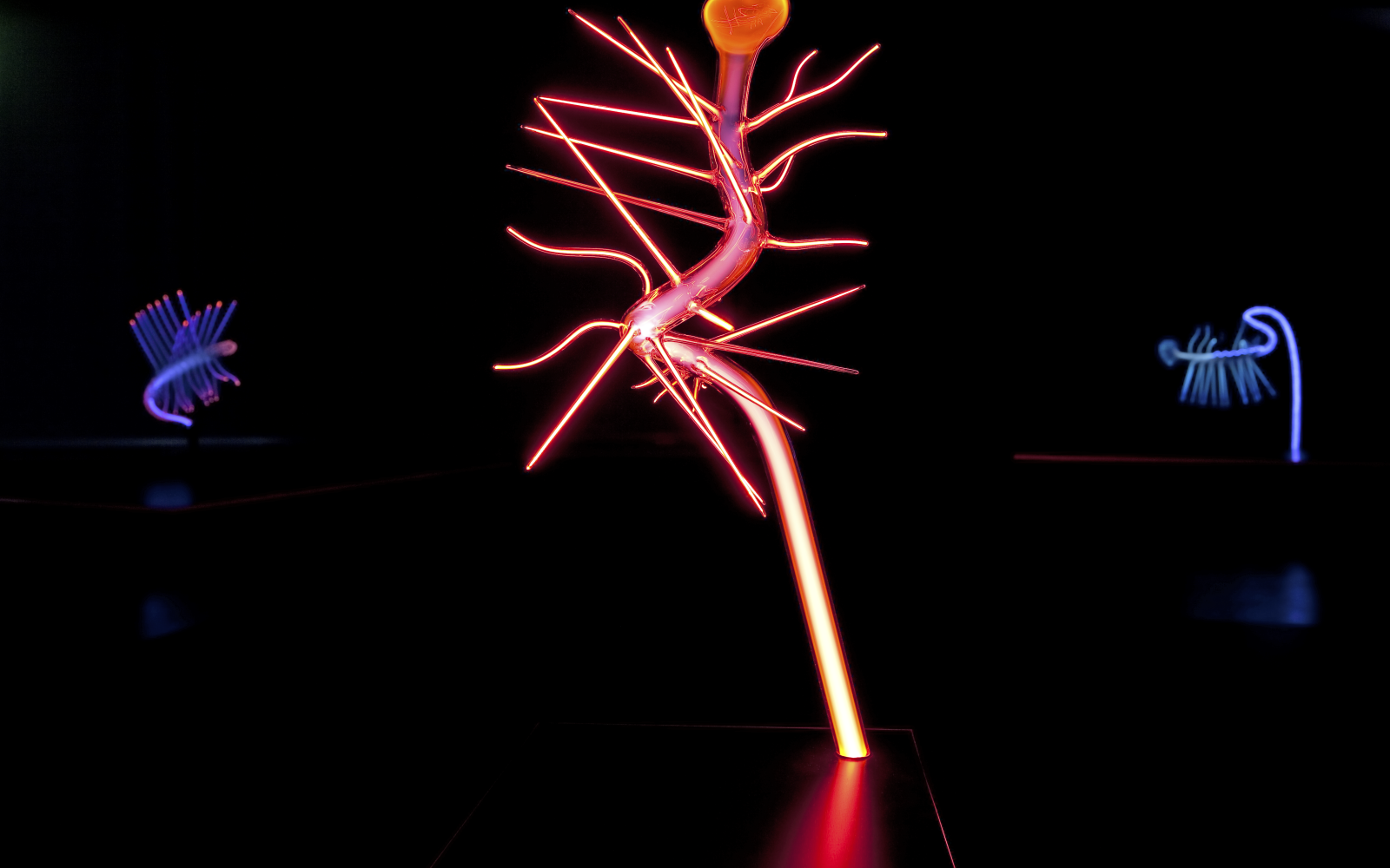 You can see a red glowing, narrow and curved figure with spikes against a black background. She is surrounded by two other blue figures of her kind. 