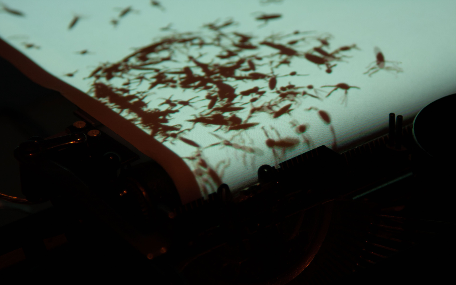 A modified typewriter on which insects are projected