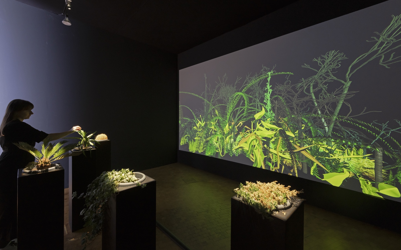 Christa Sommerer & Laurent Mignonneau,» Interactive Plant Growing«,1993 © ZKM | Center for Art and Media Karlsruhe, photo: Franz J. Wamhof The Interactive Plant Growing