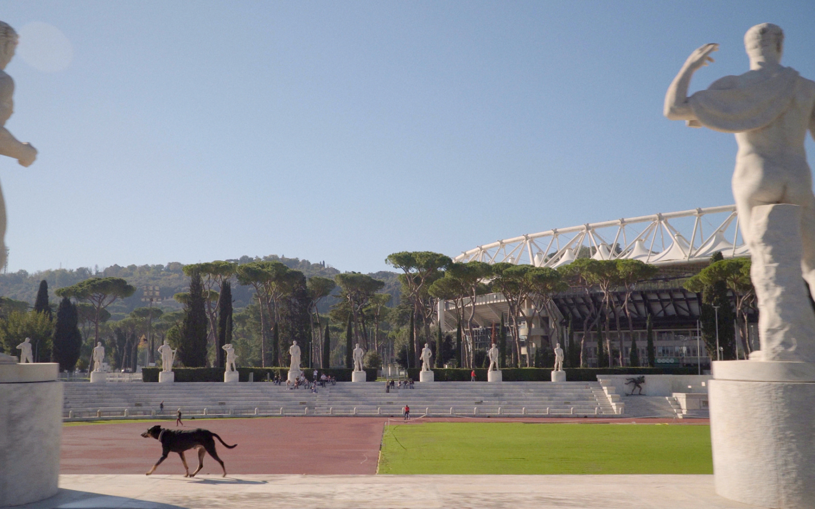 Man sieht einen Hund in dem Stadio Centrale del Tennis in Rom.