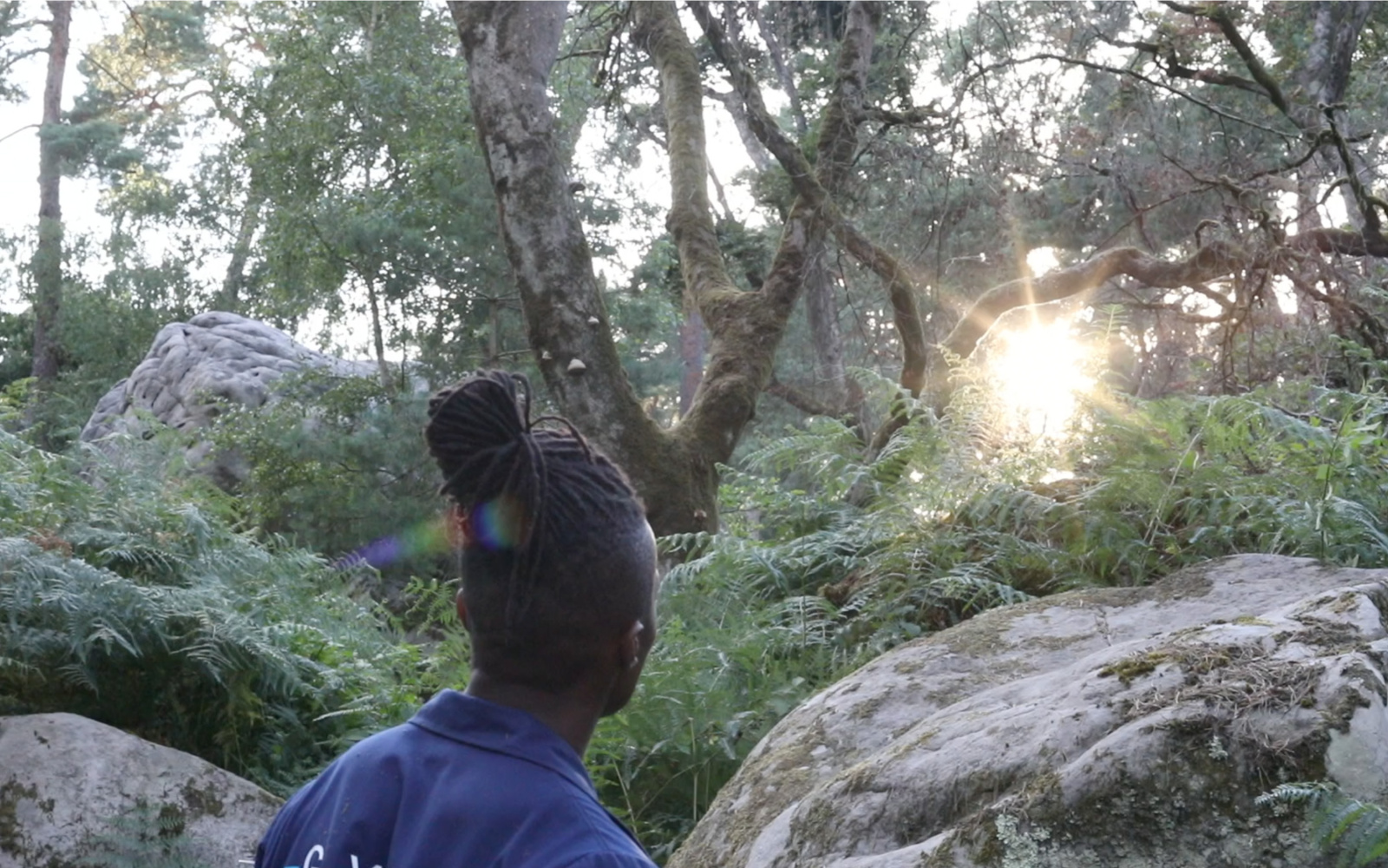 Zu sehen ist ein Mann von hinten abgebildet. Wir schauen über seine Schulte in einen Wald, durch den die Sonne durchscheint.