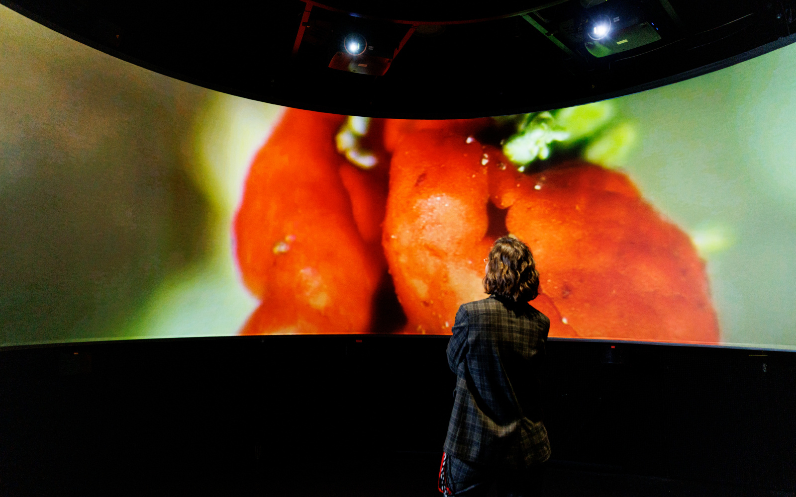 You can see a person in front of a large, curved screen. 