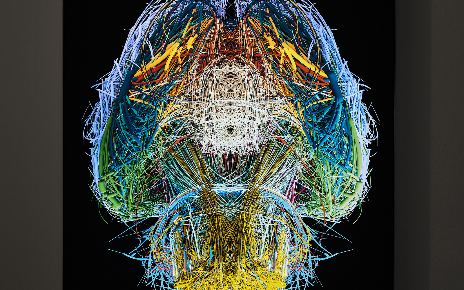 »The Mouse Connectome« vom BarabásiLab. Zu sehen sind unzählige, verschiedenfarbige Linien. Diese formen sich zu einer pilzförmigen Figur. Der Hintergrund ist schwarz.