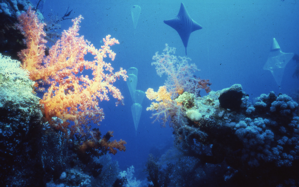 Die Gärten von Sharm