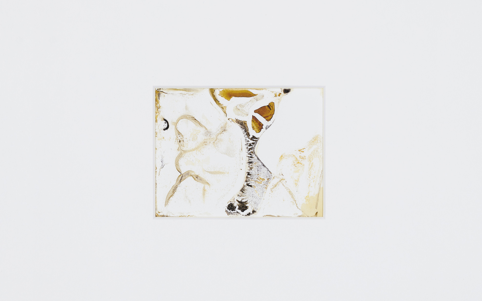 Andreas Müller-Pohle, »Signa. Monte Carlo, Monaco. Le Casino«, aus der Serie »Signa«, 2000, Polaroid 665-basierter Tintenstrahldruck, 31,4 x 31,4 x 2,8 cm, ZKM | Zentrum für Kunst und Medien Karlsruhe. / © Andreas Müller-Pohle  ; Foto © ZKM | Zentrum für Kunst und Medien, Foto: Franz J. Wamhof Signa. Monte Carlo, Monaco. Le Casino