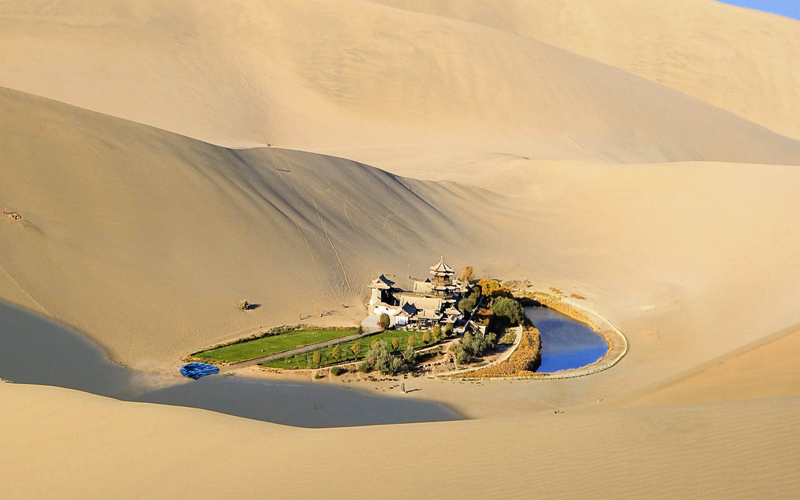 A waterhole in the Gobi Desert 