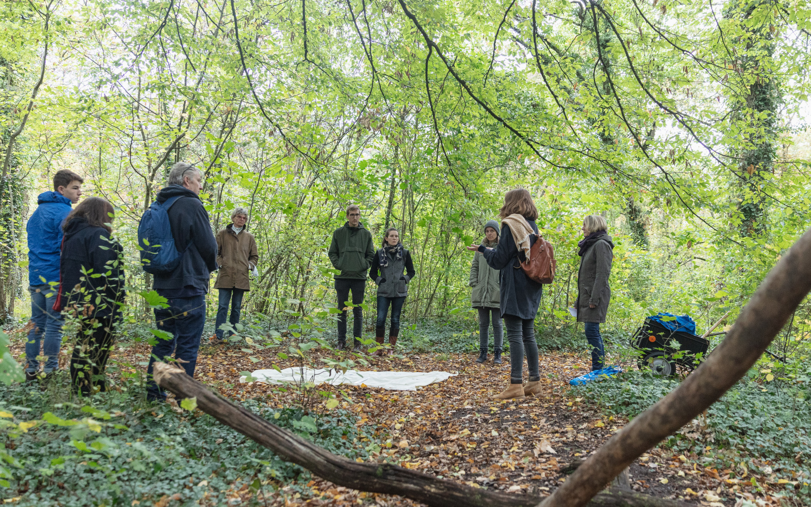 In the forest a group of people stand around a cloth that is on the ground. The forest floor is full of leaves.