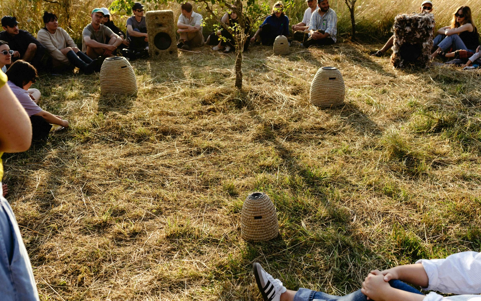Several people sit in a grass field and look at the beehives in their middle.