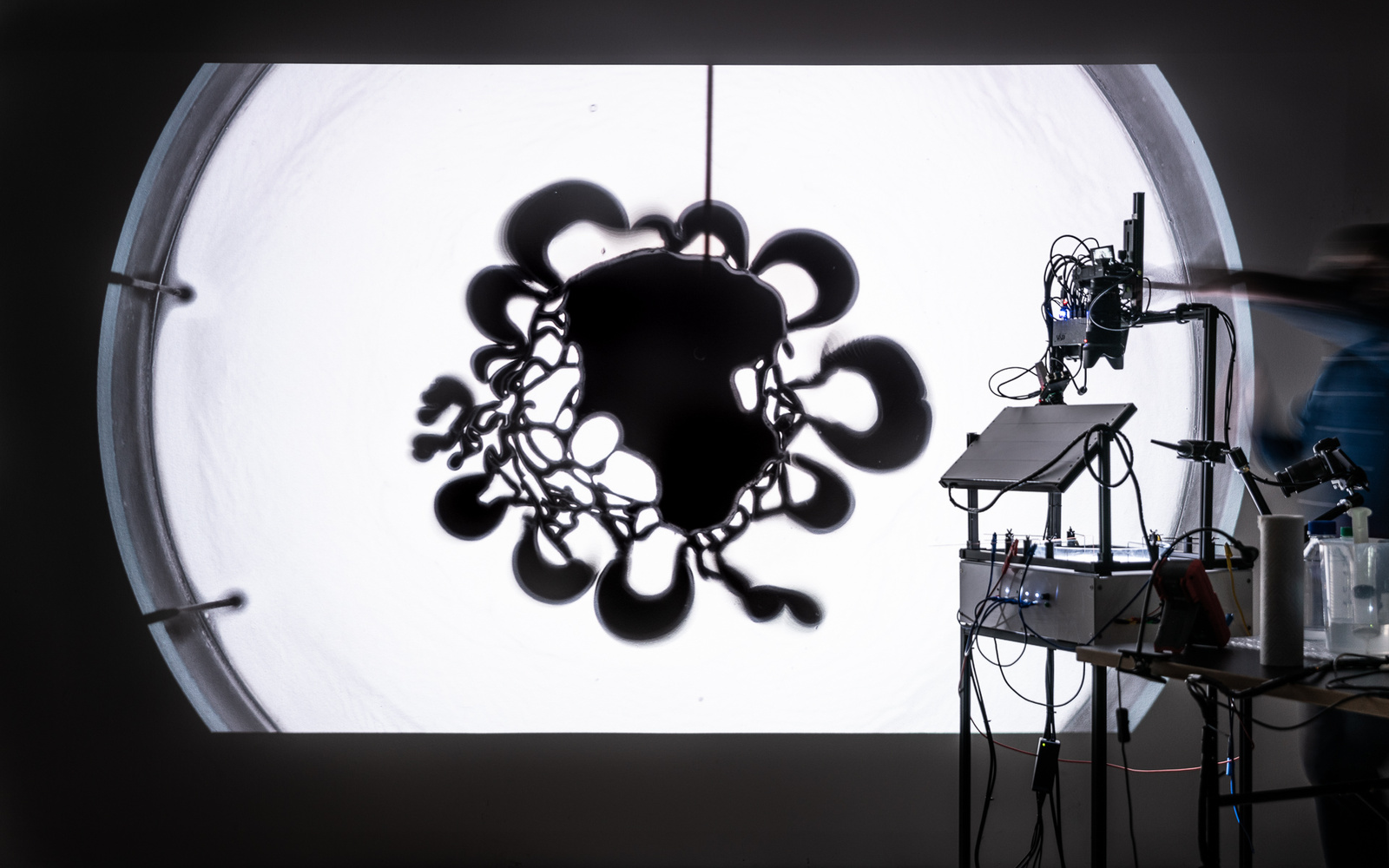 Ein komplexes Schattenspiel aus Flüssigkeiten und Technik wird in einer experimentellen Live-Performance erzeugt.