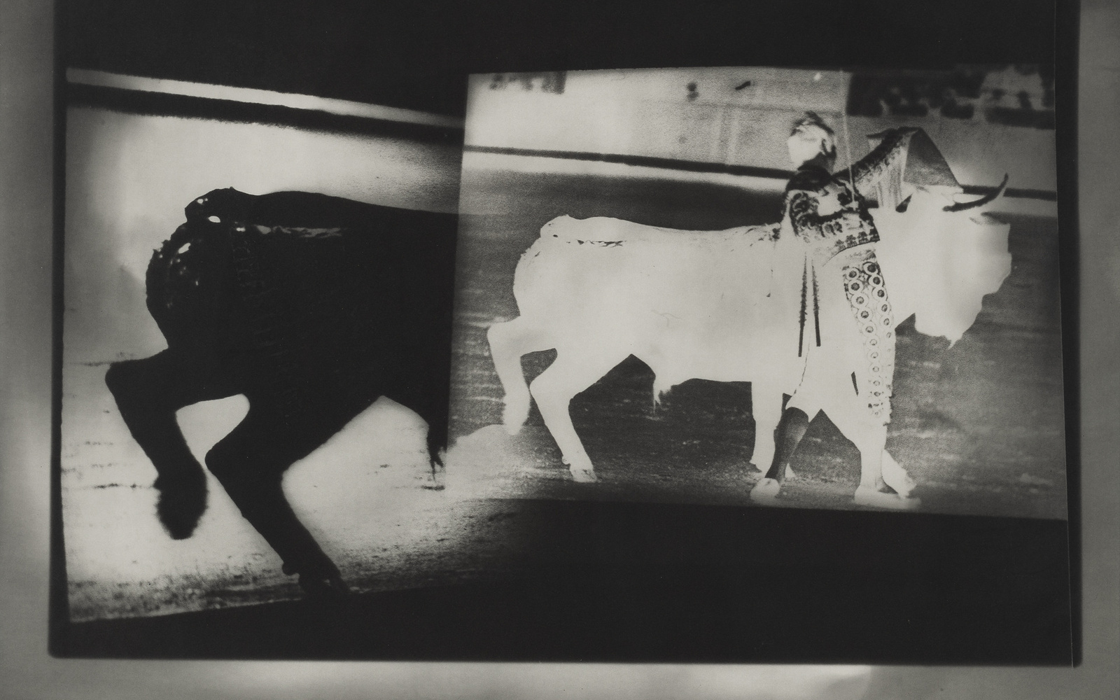 Dacapo I. Corrida de Toros