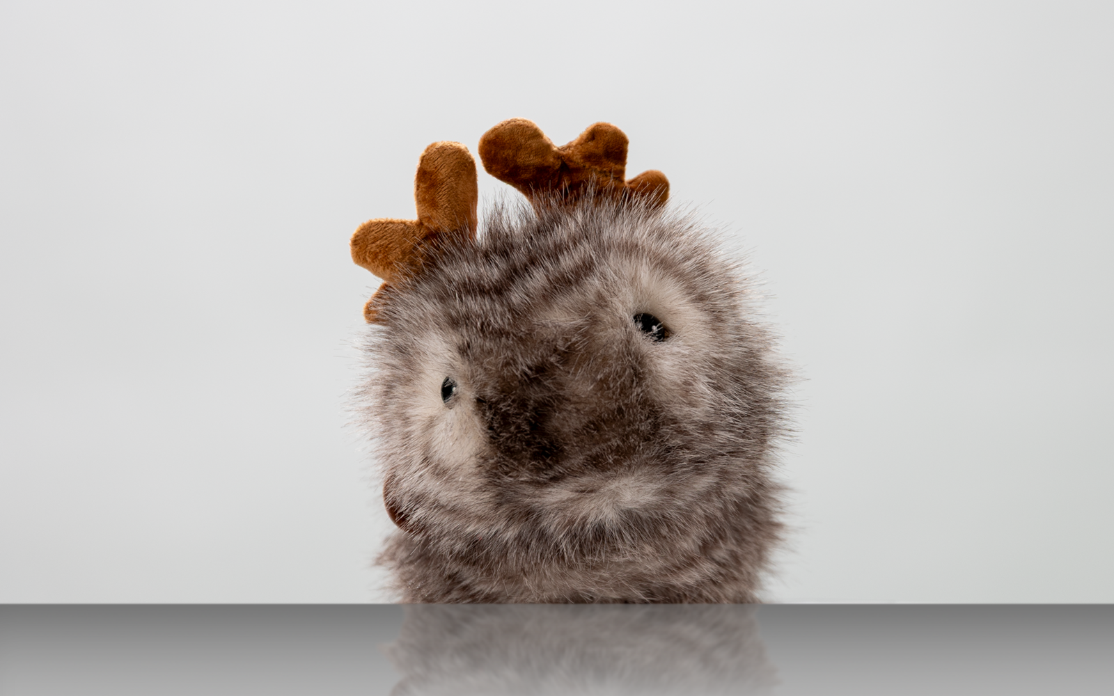 Porträt eines Kuscheltiers vor weißem Hintergrund.