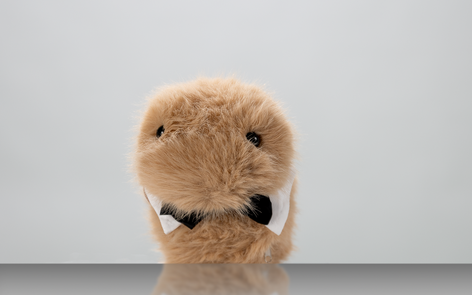 Porträt eines Kuscheltiers vor weißem Hintergrund.