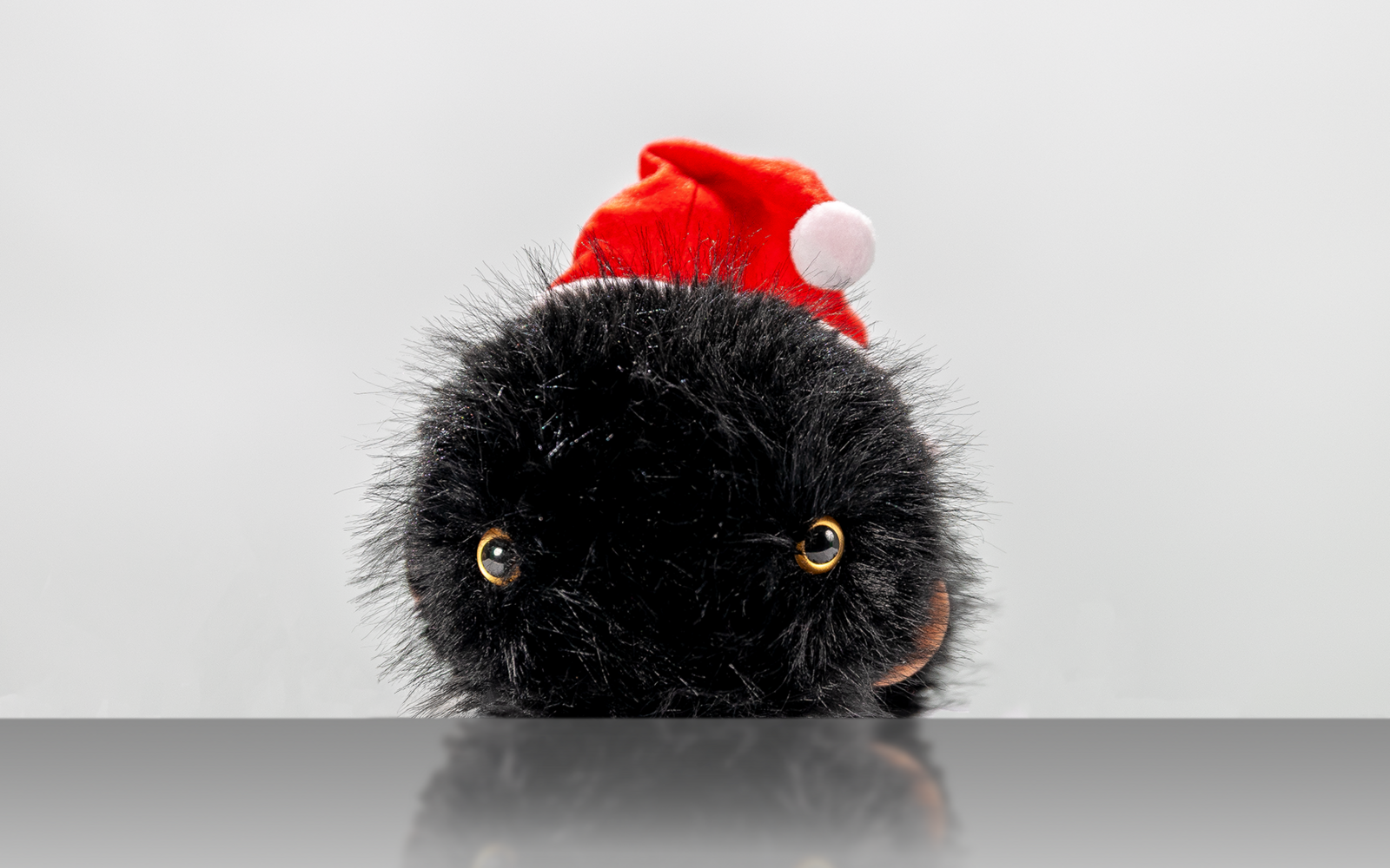 Porträt eines Kuscheltiers vor weißem Hintergrund.