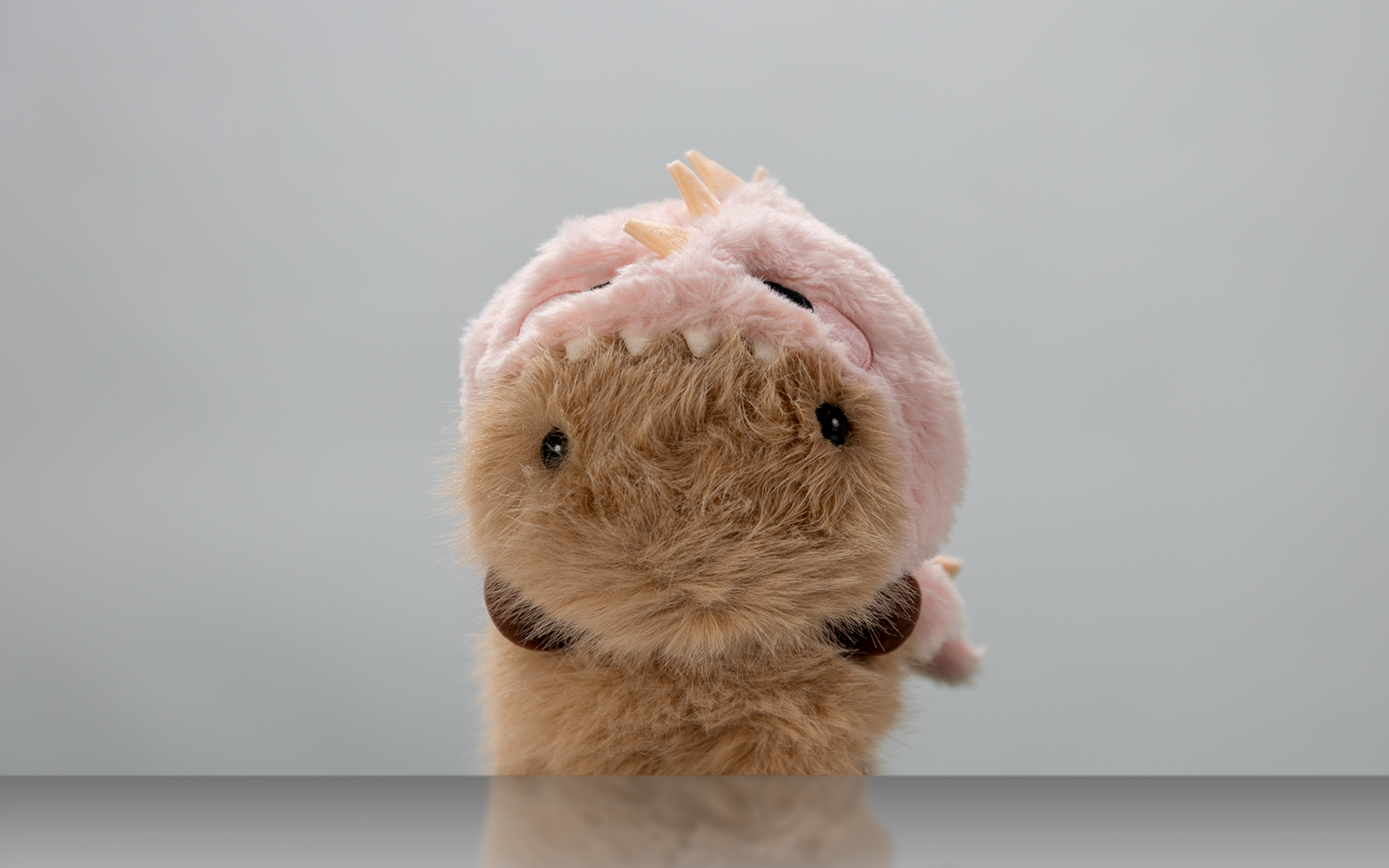 Porträt eines Kuscheltiers vor weißem Hintergrund.