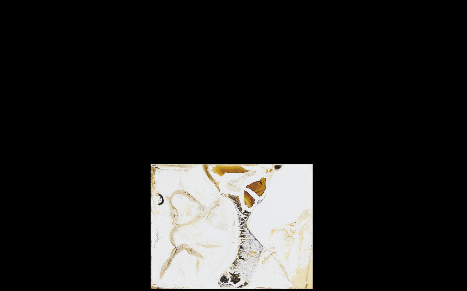 Signa. Monte Carlo, Monaco. Le Casino