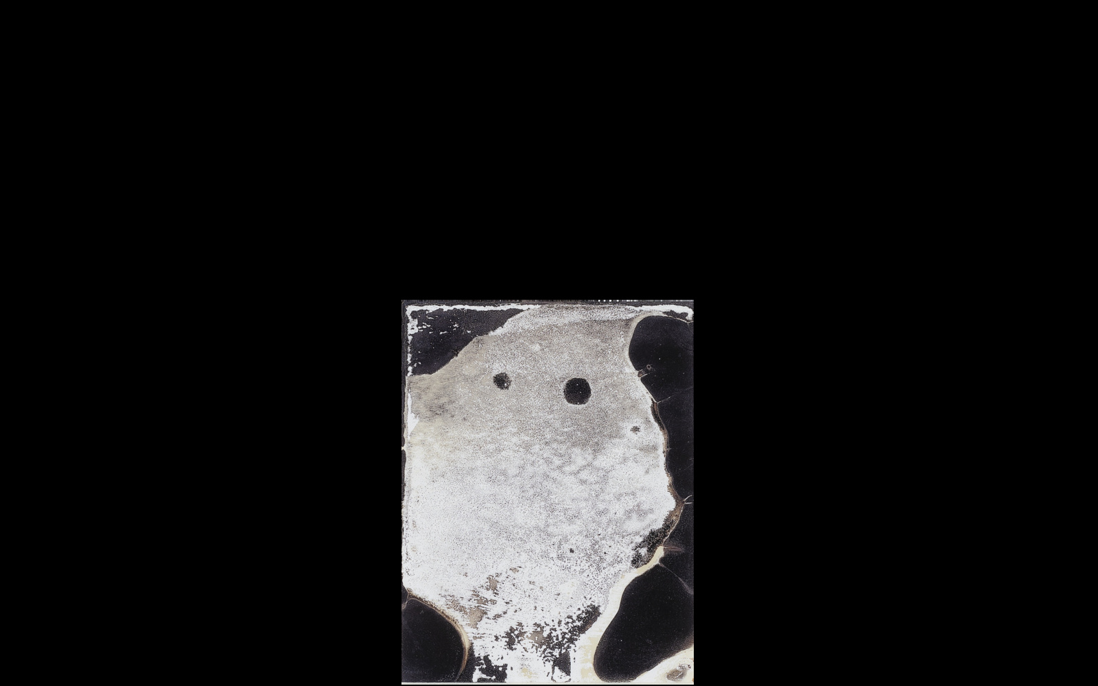 Signa. Strasbourg, France. Strasbourg Cathedral