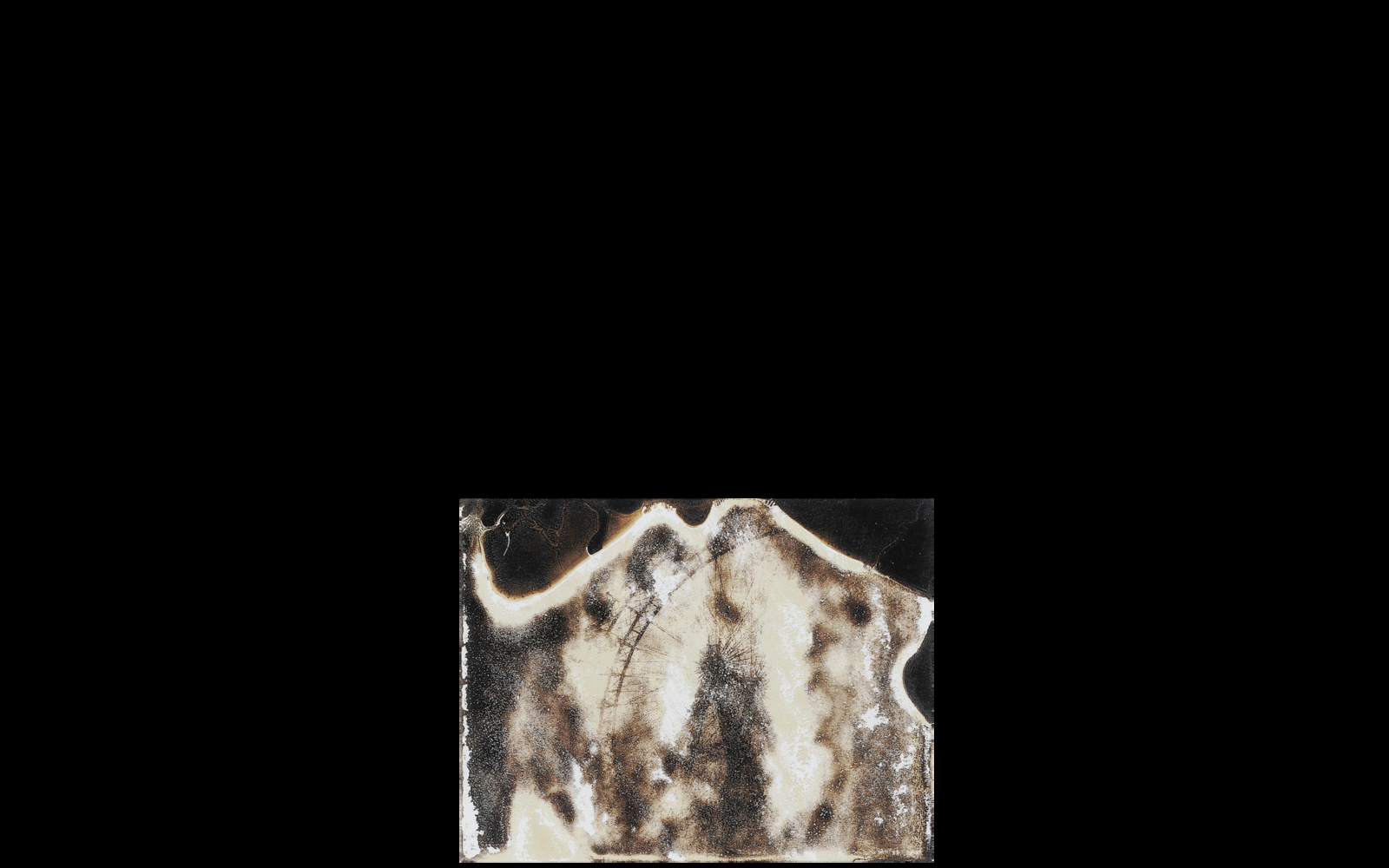 Signa. Vienna, Austria. Prater, Giant Wheel