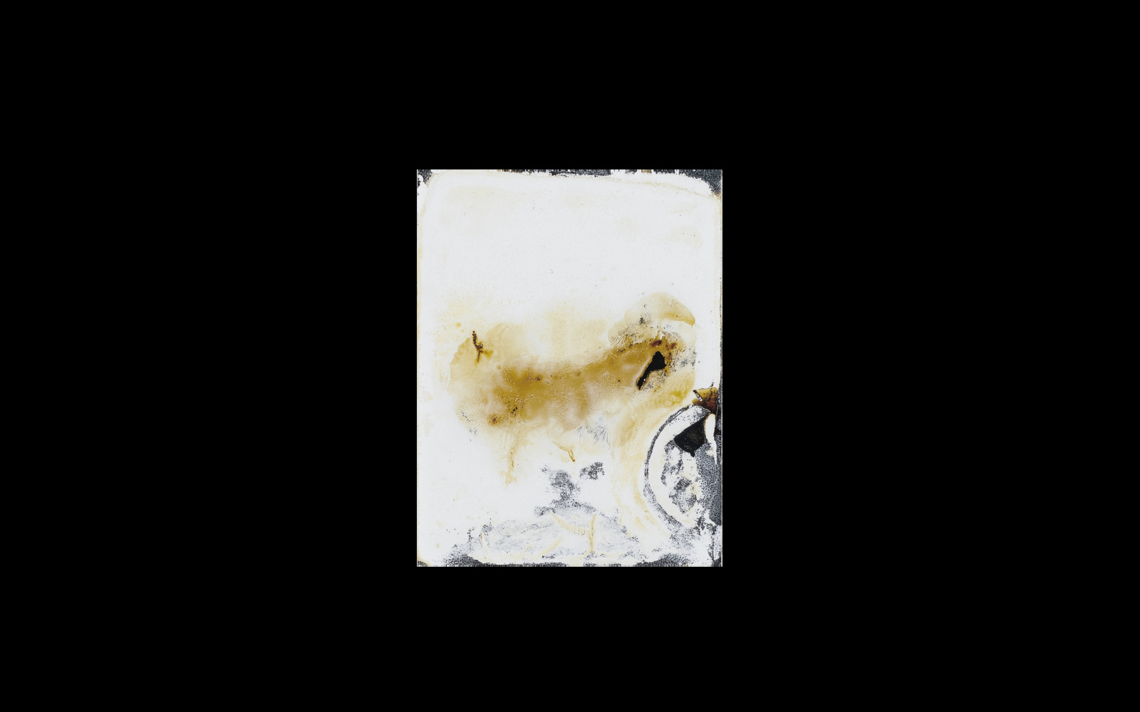 Signa. Osaka, Japan. Osaka Castle