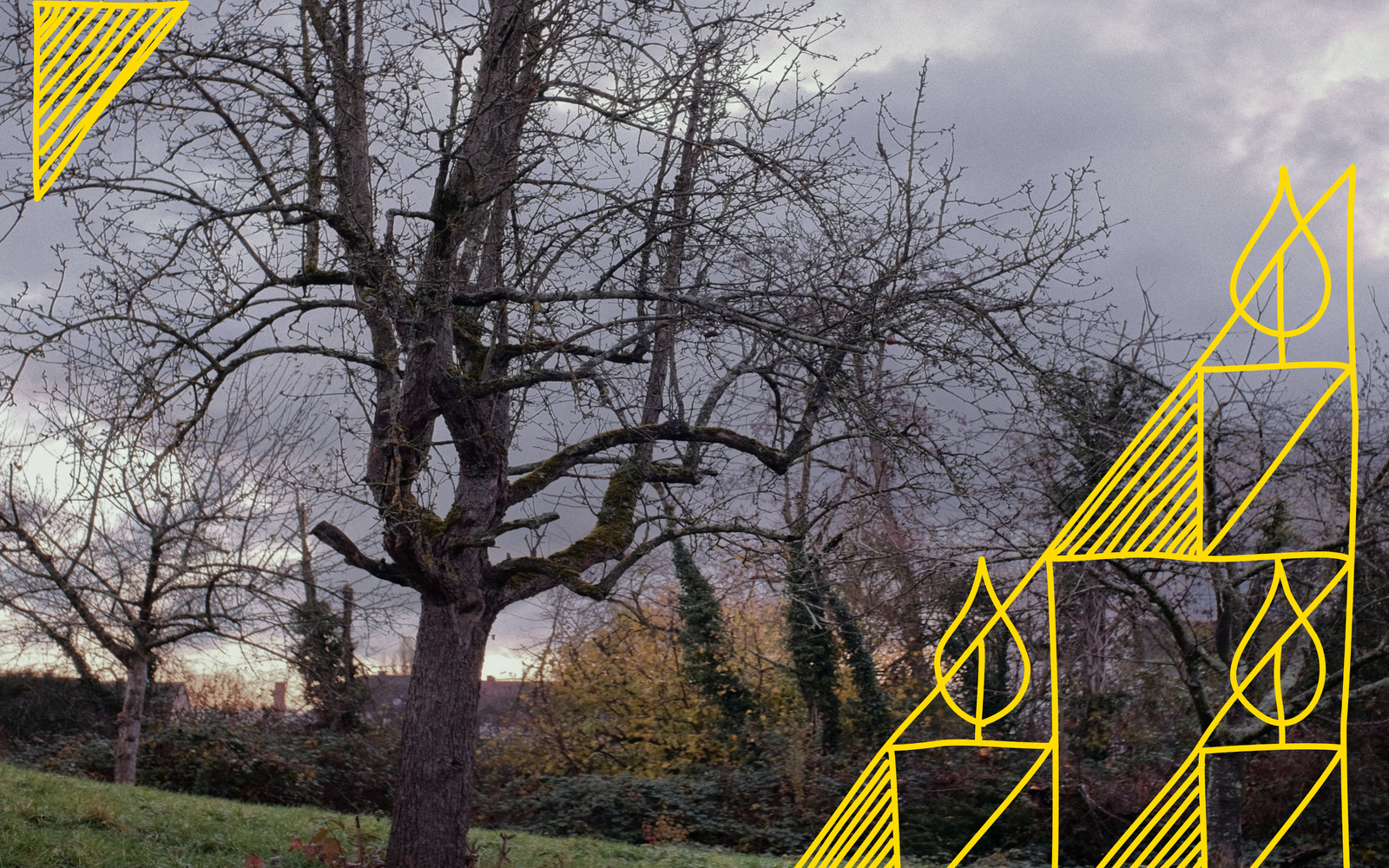 Gurama: Eine textile Teezeremonie auf der Katzenwedelwiese