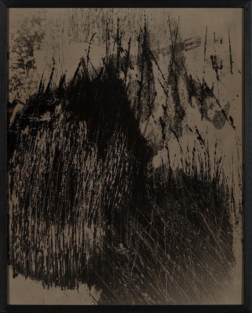 Dacapo II. Pão de Açúar