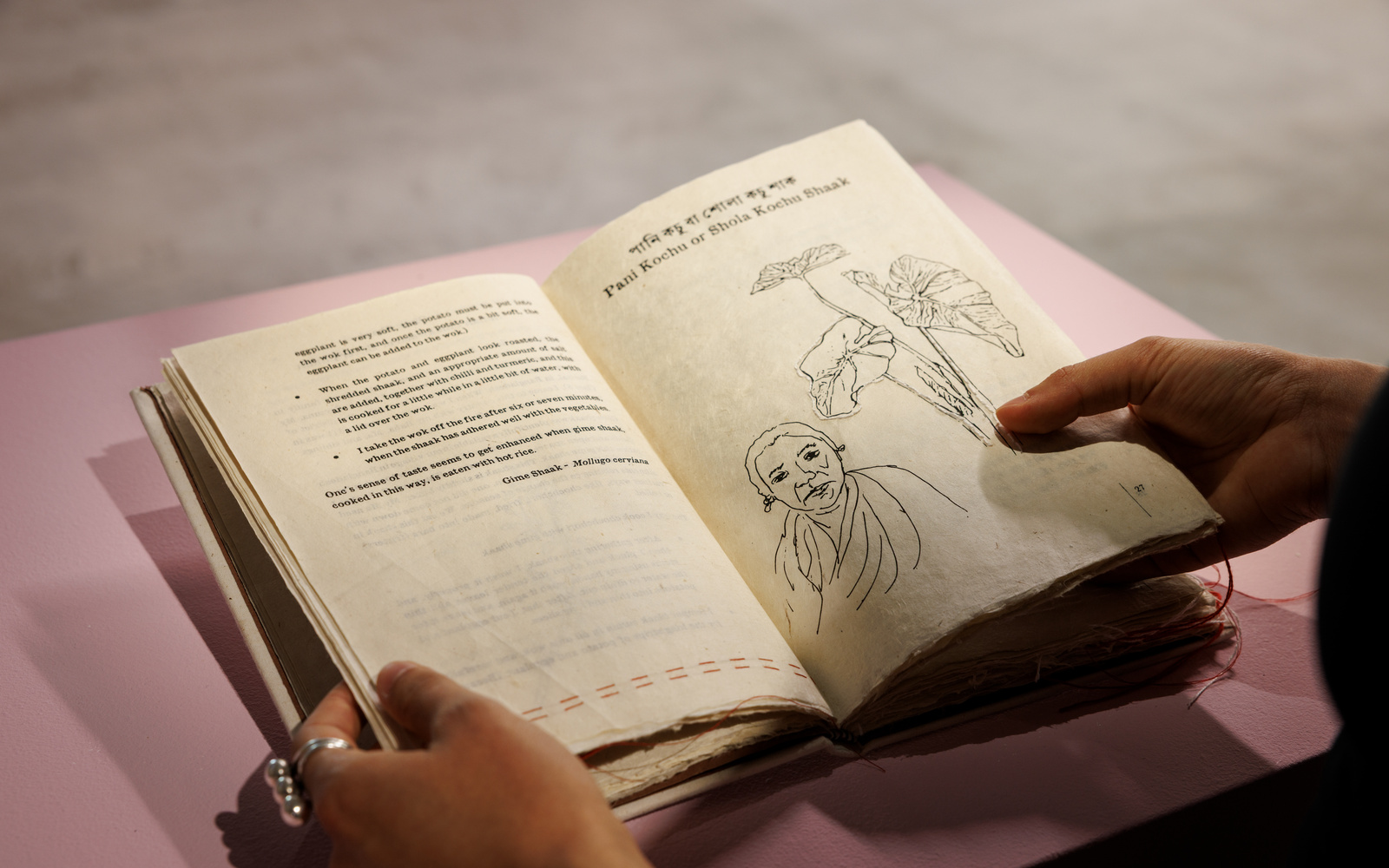 Hände sind zu sehen, welche ein Buch halten und durchschauen.