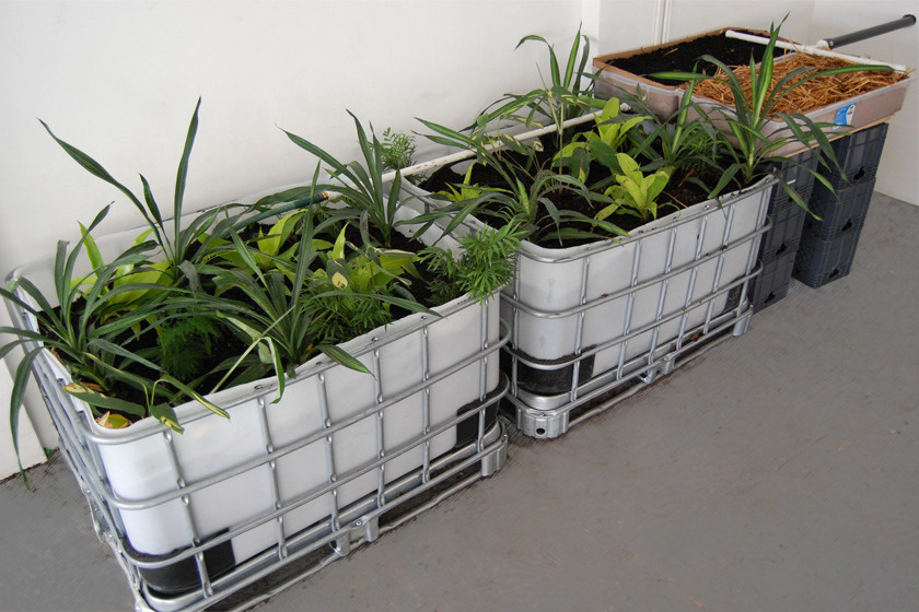 Two large containers with green plants in them can be seen. 