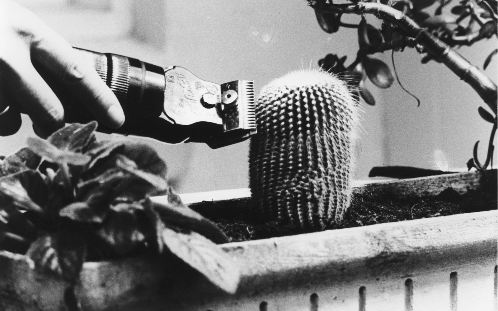 Bei den Dreharbeiten zu Ger van Elks Beitrag für die II. Fernsehausstellung IDENTIFICATIONS, 1970