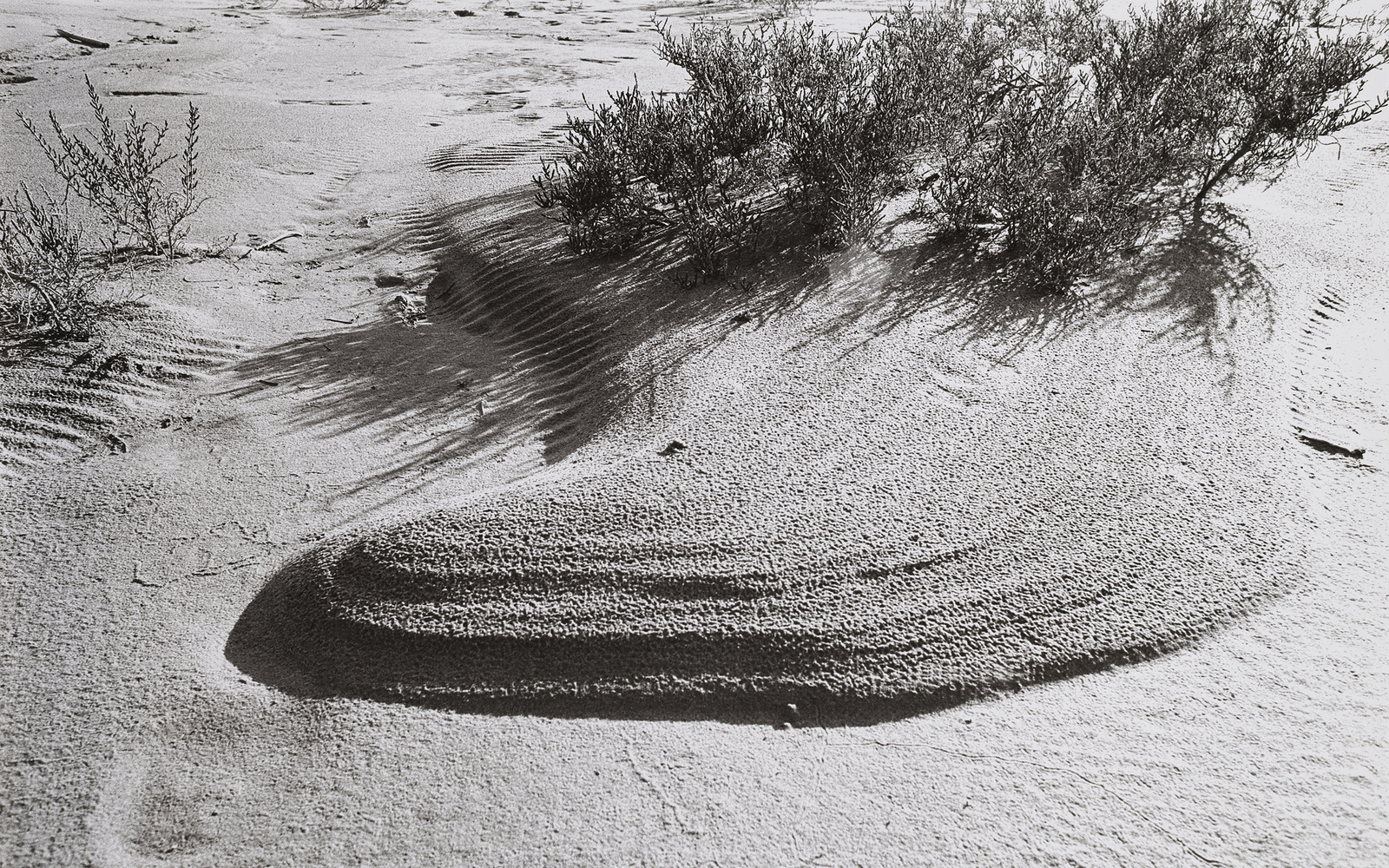 Während der Dreharbeiten zu Marinus Boezems ›Sand Fountain‹, Camargue, Frankreich, Januar 1969