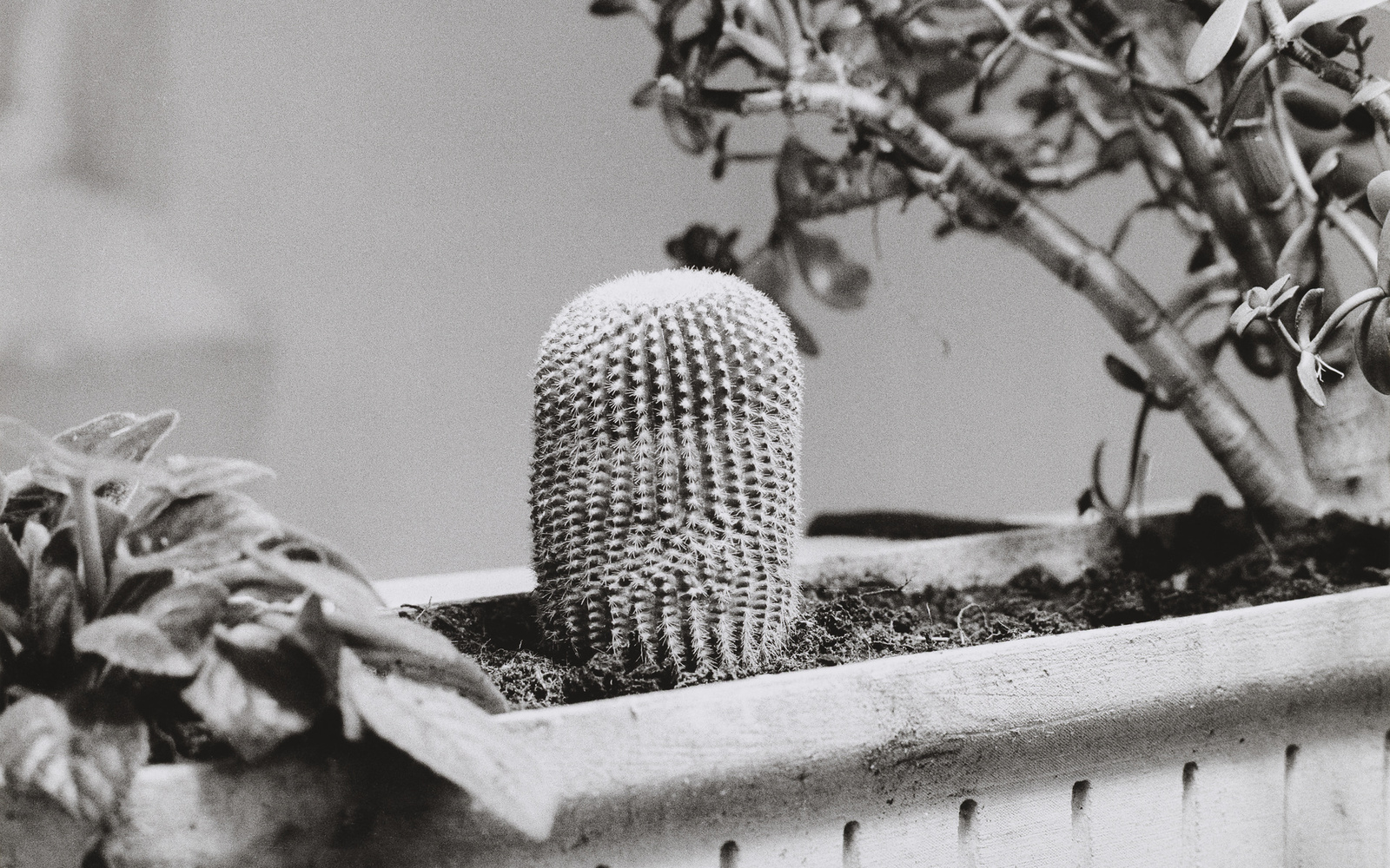 Während der Dreharbeiten zu Ger van Elks Beitrag für ›IDENTIFICATIONS‹ (II. Fernsehausstellung der Fernsehgalerie Gerry Schum), 1970