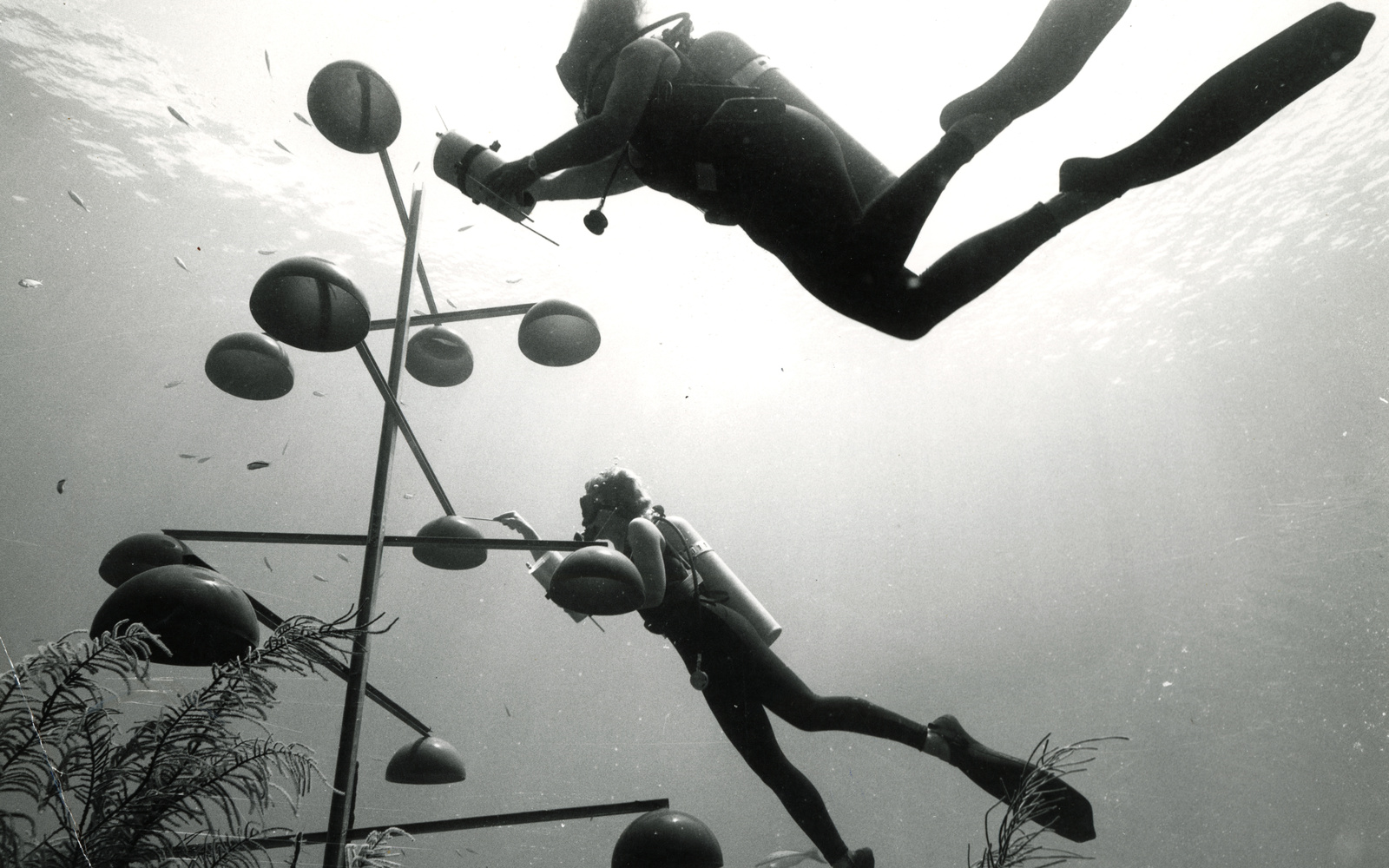 Jürgen Claus, »Female Divers at the Bell Tower«, 1979